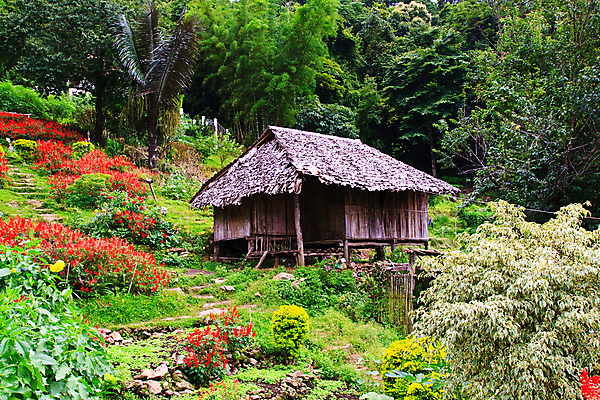 포토 JPG 해외이미지 나무 식물 전통 외관 공원 꽃 문화 여행 건축양식 자연 지붕 휴가 휴식 산 주택 풍경 사람없음 야외 건물 목재 초록색 여름 평화 정원 맑음 봄 시골 재산 오두막 언덕 시골집 휴양지 장면 내추럴 옛날 파라다이스 해외202004 해외포토 건축물 계절 공공시설 건축 컬러 컨셉 재료 날씨 금융 장소 생태계 파일형식 이미지허브