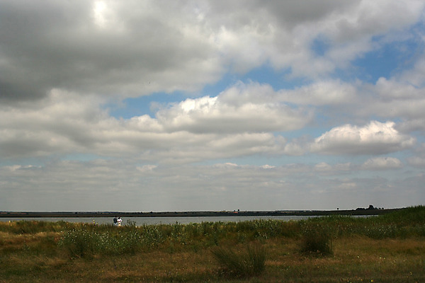 포토 JPG 해외이미지 식물 구름 계절 밭 자연 하늘 바람 사람없음 여름 햇빛 평화 우주 맑음 봄 시골 땅 천국 수평선 해외202004 해외포토 자연요소 컨셉 농업 날씨 태양 생태계 파일형식 이미지허브