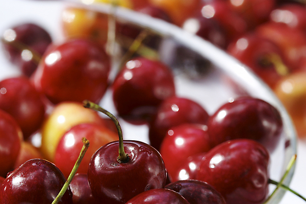 포토 JPG 해외이미지 접시 음식 줄기 백그라운드 과일 자연 유리 건강 사람없음 빨간색 정원 여러개 성장 신선 체리 달콤 맛 숙성 해외202004 해외포토 식물 식기 컬러 다수 컨셉 재질 생태계 파일형식 이미지허브