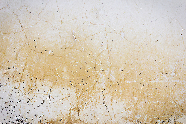 포토 JPG 해외이미지 디자인 벽 백그라운드 벽지 추상 가면 미술 사람없음 장식 갈색 금속 디지털 검은색 어둠 페인트 회색 시골 얼룩 거친 떨어짐 디자이너 부식 질감 무거움 그런지 섞기 옛날 해외202004 해외포토 직업 컬러 컨셉 무늬 재질 문화예술 무게 파일형식 이미지허브