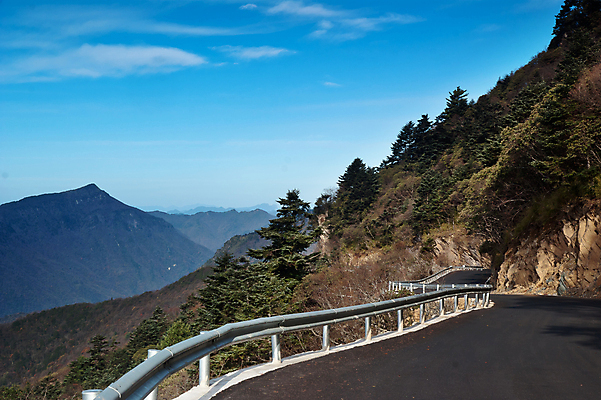 포토 JPG 해외이미지 나무 구름 자연 산 풍경 사람없음 중국 소나무 숲 해외202004 해외포토 자연요소 식물 아시아 생태계 파일형식 이미지허브