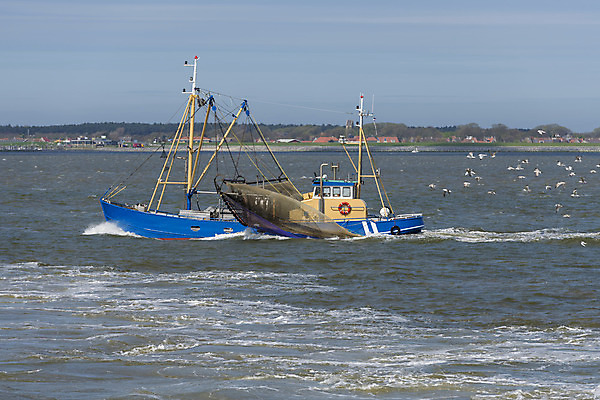 포토 JPG 해외이미지 교육 유럽 문화 파도 바다 아침 낚시 조개 새우 사람없음 물 빛 세계 햇빛 거품 그물 보트 행운 재산 네덜란드 활 방파제 함선 상업 홍합 지역 북쪽 포트 돛대 뱃놀이 수평선 해외202004 해외포토 주간 자연요소 공공시설 나라 컨셉 배_교통 레저 어패류 갑각류 금융 태양 전통놀이 방향 파일형식 이미지허브
