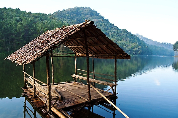 포토 JPG 해외이미지 아시아 여행 백그라운드 태국 자연 벽지 아침 풍경 사람없음 야외 강 보트 대나무 뗏목 해외202004 해외포토 주간 나무 나라 교통수단 배_교통 생태계 파일형식 이미지허브