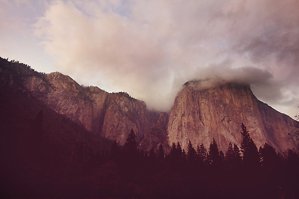 포토 JPG 해외이미지 나무 계절 공원 여행 크리스마스 겨울 자연 산 풍경 사람없음 야외 햇빛 태양 환경 맑음 미국 활발 하이킹 추위 가을 바위 캘리포니아 내추럴 얇은 요세미티국립공원 전국 해외202004 해외포토 자연요소 식물 공공시설 기념일 컨셉 북아메리카 레저 날씨 국립공원 돌_바위 생태계 파일형식 이미지허브