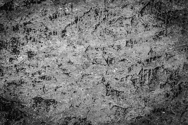 포토 JPG 해외이미지 디자인 벽 백그라운드 패턴 표면 추상 바닥 사람없음 검은색 어둠 공백 회색 수확 흰색 거친 묘사 질감 복고 시멘트 그런지 옛날 콘크리트 해외202004 해외포토 컬러 무늬 농업 파일형식 이미지허브