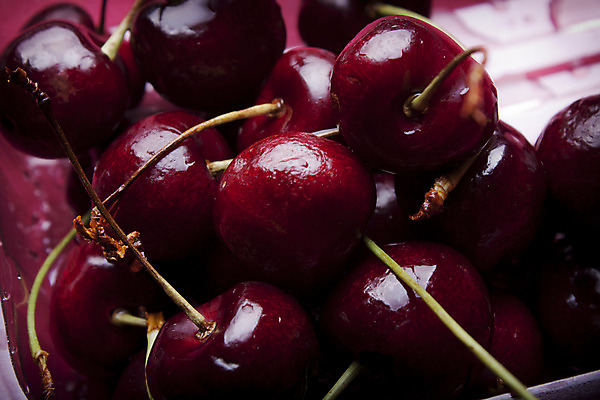 포토 JPG 해외이미지 식물 구름 계절 열매 음식 빵 줄기 백그라운드 십자가 잎 2 밭 농업 과일 부분 자연 하늘 디저트 건강 옥수수 씨앗 풍경 사람없음 빨간색 여름 파란색 농작물 태양 농장 노란색 환경 일몰 수확 가을 흰색 시골 신선 체리 달콤 맛 상품 낟알 땅 자르기 밀 상쾌 유기농 날것 슬라이스 보리 덩어리 내추럴 고립 과육 숙성 채식주의자 세련 해외202004 해외포토 자연요소 웰빙 감정 산업 컬러 컨셉 모션 곡류 노을 생태계 채식 파일형식 이미지허브