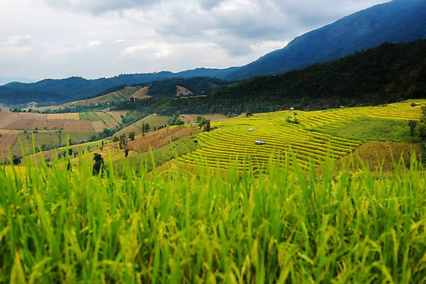포토 JPG 해외이미지 구름 여행 태국 하늘 밥 산 풍경 사람없음 관광지 고요 내추럴 해외202004 해외포토 자연요소 아시아 음식 파일형식 이미지허브