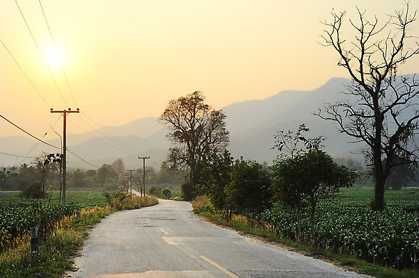 포토 JPG 해외이미지 나무 식물 계절 공원 아시아 도로 선 여행 백그라운드 밭 농업 태국 자연 하늘 산 풍경 사람없음 야외 초록색 여름 빛 컬러풀 태양 농장 노란색 환경 맑음 일몰 시골 고속도로 황금 숲 땅 사인 장면 북쪽 내추럴 수평선 해외202004 해외포토 자연요소 공공시설 나라 산업 길 컬러 교통시설 날씨 노을 방향 생태계 파일형식 이미지허브