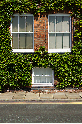 포토 JPG 해외이미지 식물 도로 선 잎 건축양식 창문 벽돌 주택 사람없음 빨간색 페인트 흰색 시골 보행로 아이비 해외202004 해외포토 건축 길 컬러 교통시설 건물 파일형식 이미지허브