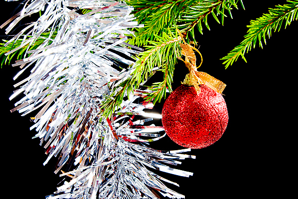 포토 JPG 해외이미지 나무 전통 문화 크리스마스 겨울 휴가 매달리기 선물 미술 사람없음 장식 초록색 쇼핑 검은색 어둠 활발 축하 소나무 전나무 가문비나무 해외202004 해외포토 식물 계절 기념일 컬러 컨셉 모션 문화예술 파일형식 이미지허브