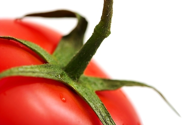 포토 JPG 해외이미지 잡화 음식 백그라운드 농업 다이어트 토마토 채소 과일 재료 건강 사람없음 빨간색 물 여름 우주 침묵 젖음 흰색 물방울 신선 원형 닫기 맛 떨어짐 상품 매끈함 먹기 오브젝트 원예 날것 고립 식용 완벽 채식주의자 카피스페이스 솔깃 해외202004 해외포토 자연요소 도형 계절 산업 컬러 컨셉 모션 취미 소리 공백 감각 채식 파일형식 이미지허브