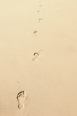 포토 JPG 해외이미지 길 모래 바다 여행 백그라운드 자국 맨발 자연 휴가 휴식 사람 사람없음 야외 물 여름 모래사장 평화 걷기 맑음 산책 자유 탐험 인쇄 발자국 흔적 질감 단계 선로 양발 자취 혼자 각인 해외202004 해외포토 자연요소 계절 컨셉 모션 발 날씨 생태계 파일형식 이미지허브