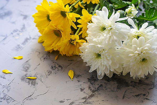 포토 JPG 해외이미지 식물 꽃잎 꽃 분홍색 꽃다발 꽃무늬 자연 국화 사람없음 초록색 여름 노란색 정원 봄 벚꽃 흰색 개화 고립 해외202004 해외포토 계절 컬러 무늬 생태계 파일형식 이미지허브