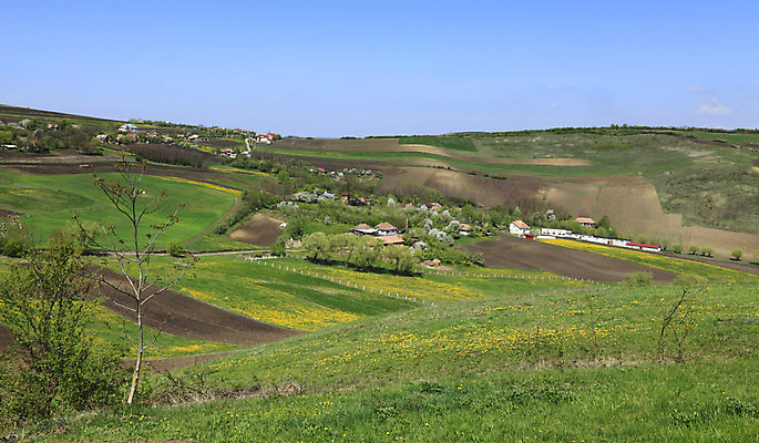 포토 JPG 해외이미지 나무 문화 여행 농업 자연 하늘 주택 풍경 사람없음 야외 초록색 농장 마을 봄 시골 언덕 커뮤니티 루마니아 쟁기 트란실바니아 수평선 해외202004 해외포토 식물 계절 유럽 산업 컬러 건물 생태계 파일형식 이미지허브