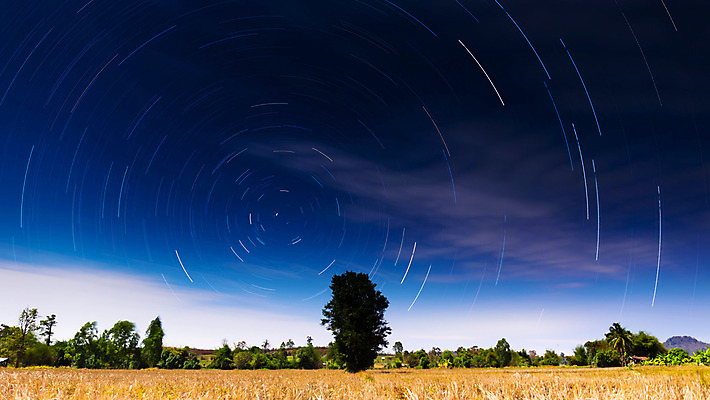 포토 JPG 해외이미지 나무 구름 별 백그라운드 밭 자국 모션 자연 하늘 밥 풍경 사람없음 야외 파란색 빛 우주 어둠 산책로 원형 야간 은하계 천문학 방법 해외202004 해외포토 자연요소 도형 식물 교육 길 음식 컬러 농업 생태계 파일형식 이미지허브