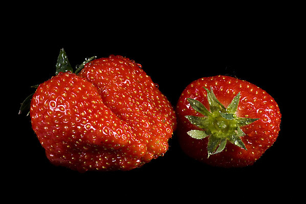 포토 JPG 해외이미지 1 잡화 열매 음식 다이어트 과일 딸기 디저트 건강 씨앗 사람없음 빨간색 초록색 여름 컬러풀 검은색 주스 봄 성장 신선 시장 선택 달콤 맛 아침식사 유혹 잼 설탕 먹기 레시피 루비 숙성 영양소 해외202004 해외포토 식물 계절 음료 컬러 컨셉 모션 식사 소스_음식 보석 파일형식 이미지허브