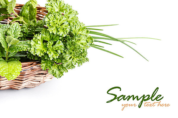 포토 JPG 해외이미지 식물 텍스트 파슬리 사람없음 치료 초록색 바구니 우주 흰색 신선 민트 허브 향신료 쪽파 카피스페이스 해외202004 해외포토 컬러 채소 의학 공백 파 향미료 파일형식 이미지허브