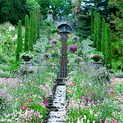 포토 JPG 해외이미지 식물 계절 공원 꽃 유럽 여행 백그라운드 잎 꽃무늬 자연 풍경 사람없음 야외 장식 초록색 물 여름 강 컬러풀 환경 정원 침묵 봄 활발 폭포 흐름 벚꽃 가을 바위 개울 떨어짐 분수 원예 화단 장면 내추럴 해외202004 해외포토 자연요소 공공시설 나라 컬러 컨셉 무늬 취미 소리 돌_바위 생태계 파일형식 이미지허브