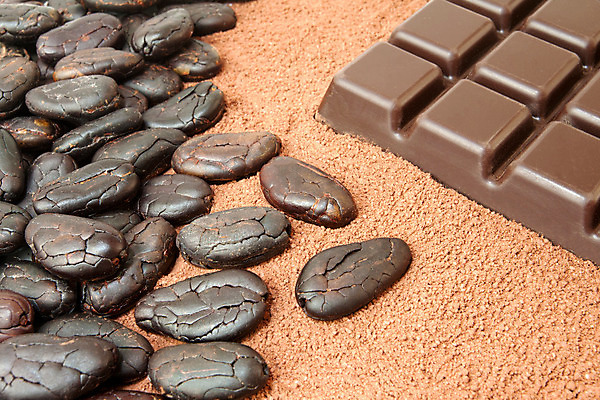 포토 JPG 해외이미지 식물 백인 음식 백그라운드 농업 다이어트 과일 재료 자연 디저트 콩 건강 사탕 요리 씨앗 사람없음 알약 갈색 초콜릿 어둠 블록 에너지 바 달콤 맛 가루 설탕 굽기 먹기 묘사 날것 영양 칼로리 코코아 중독 내추럴 마다가스카르 카카오 탄수화물 해외202004 해외포토 서양인 산업 음료 컬러 컨셉 모션 곡류 약 구이 생태계 파일형식 이미지허브