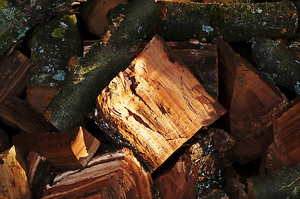 포토 JPG 해외이미지 나무 전통 조각 자연 사람없음 목재 태양 쌓기 환경 맑음 재활용 에너지 시골 반지 소나무 점 원형 닫기 주식 낟알 장작 자르기 묘사 통나무 부드러움 연료 자원 다리찢기 내추럴 수목 화상 해외202004 해외포토 자연요소 도형 식물 재료 장신구 모션 날씨 금융 감각 상처 친환경 생태계 파일형식 이미지허브