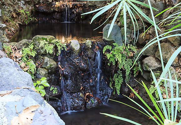 포토 JPG 해외이미지 식물 자국 자연 휴식 천사 건강 사람없음 초록색 물 미국 침묵 봄 폭포 하이킹 연못 신선 캘리포니아 로스앤젤레스 양치류 해외202004 해외포토 자연요소 계절 컬러 컨셉 북아메리카 레저 소리 생태계 파일형식 이미지허브