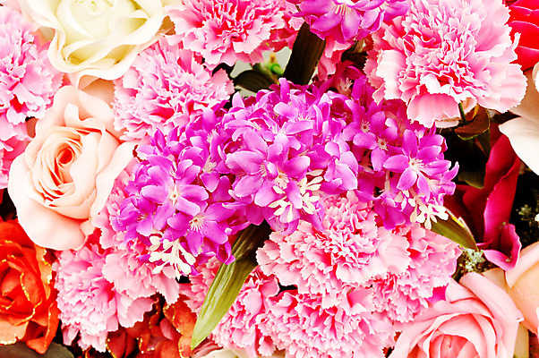 포토 JPG 해외이미지 식물 기념일 꽃잎 꽃 분홍색 꽃다발 결혼 백그라운드 잎 꽃무늬 자연 휴가 발렌타인데이 선물 이벤트 사람없음 장식 빨간색 초록색 여름 장미 노란색 정원 튤립 벚꽃 축하 인사 조끼 개화 자주색 다발 수집 배열 꽃집 향수 데이지 정리 파스텔톤 해외202004 해외포토 계절 컬러 컨셉 무늬 데이이벤트 상점 화장품 외투 예절 생태계 파일형식 이미지허브