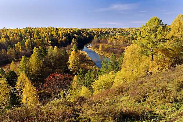 포토 JPG 해외이미지 나무 계절 낙엽 잎 자연 하늘 풍경 사람없음 야외 빨간색 초록색 물 파란색 빛 햇빛 노란색 자유 가을 황금 숲 지역 10월 해외202004 해외포토 자연요소 식물 컬러 컨셉 태양 날짜 생태계 파일형식 이미지허브