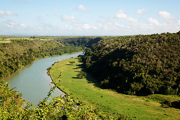 포토 JPG 해외이미지 나무 식물 여행 자연 하늘 휴가 손바닥 풍경 사람없음 야외 초록색 물 강 환경 침묵 숲 열대우림 파라다이스 수평선 해외202004 해외포토 자연요소 손 컬러 소리 생태계 파일형식 이미지허브