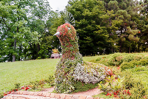 포토 JPG 해외이미지 나무 식물 공원 꽃 여행 백그라운드 잎 아침 휴식 그림자 풍경 사람없음 야외 장식 빨간색 초록색 여름 빛 햇빛 태양 노란색 정원 침묵 개화 큼 오솔길 화단 남쪽 아열대 이국적 해외202004 해외포토 주간 자연요소 계절 공공시설 길 컬러 컨셉 소리 크기 방향 파일형식 이미지허브