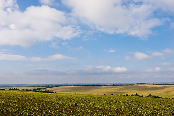 포토 JPG 해외이미지 나무 구름 공원 여행 밭 자연 하늘 풍경 사람없음 야외 여름 언덕 해외202004 해외포토 자연요소 식물 계절 공공시설 농업 생태계 파일형식 이미지허브