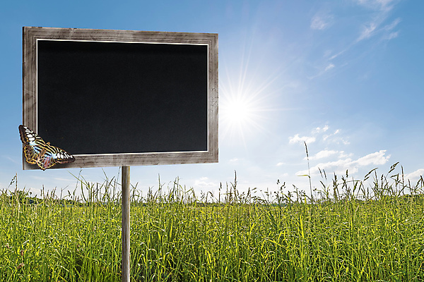 포토 JPG 해외이미지 식물 디자인 행복 나비 백그라운드 밭 자연 엄마 프레임 사랑 잔디 사람없음 야외 장식 초록색 여름 환경 정원 칠판 봄 활발 수확 성장 시골 축하 신선 신용카드 5월 질감 복고 뒤뜰 땅바닥 진짜 해외202004 해외포토 계절 감정 컬러 곤충 컨셉 농업 가족 바닥 금융 날짜 생태계 파일형식 이미지허브