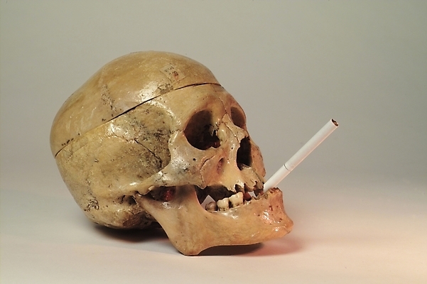 포토 JPG 신체 의학 뼈 해골 흡연 담배 사람 사람없음 치료 의료용품 장기 근골격기관 국내포토 의료기기 장기_의학 파일형식