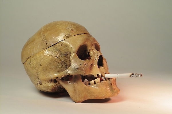 포토 JPG 신체 의학 뼈 해골 흡연 담배 사람 사람없음 치료 의료용품 장기 근골격기관 국내포토 의료기기 장기_의학 파일형식