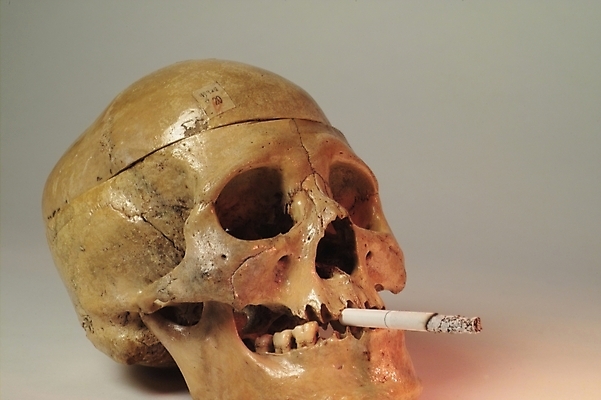 포토 JPG 신체 의학 뼈 해골 흡연 담배 사람 사람없음 치료 의료용품 장기 근골격기관 국내포토 의료기기 장기_의학 파일형식