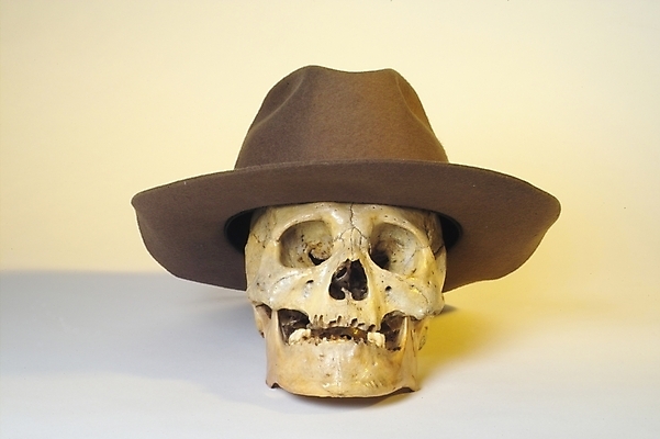 포토 JPG 모자 신체 의학 뼈 해골 사람 사람없음 치료 의료용품 장기 근골격기관 오브젝트 카우보이모자 국내포토 모자_잡화 잡화 의료기기 장기_의학 파일형식