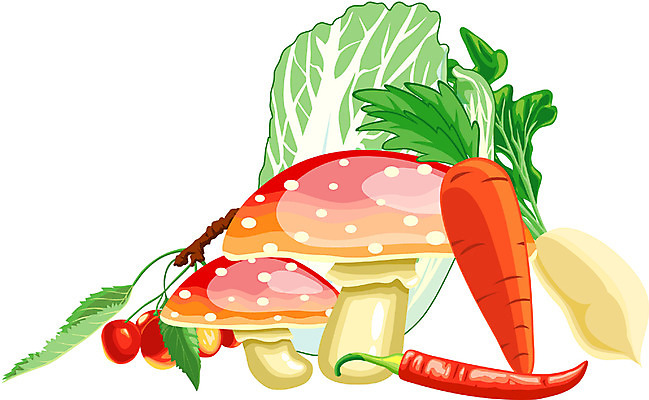 EPS 식물 웰빙 열매 채소 일러스트 식재료 고추 사람없음 초록색 버섯 당근 앵두 무 배추 국내일러스트 컬러 뿌리채소 파일형식 벡터