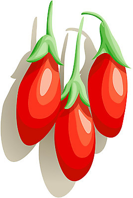 EPS 식물 열매 음식 컬러 채소 일러스트 사람없음 빨간색 초록색 구기자 국내일러스트 파일형식 벡터