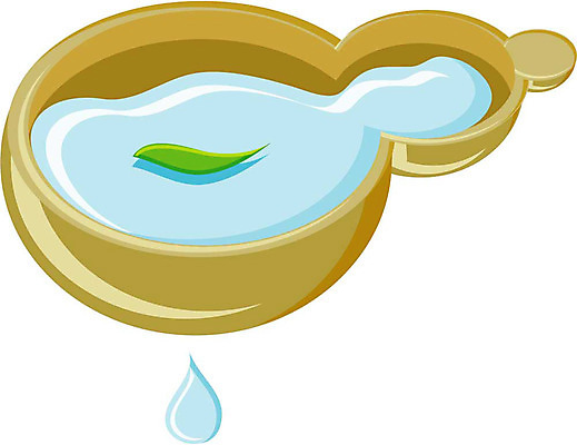 EPS 클립아트 생활용품 잎 일러스트 주방용품 나뭇잎 사람없음 물 오브젝트 바가지 표주박 국내일러스트 자연요소 식물 박 파일형식 벡터