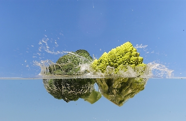 포토 JPG 스튜디오촬영 식물 웰빙 백그라운드 채소 식재료 사람없음 물 농작물 브로콜리 유기농 국내포토 자연요소 농업 실내 파일형식