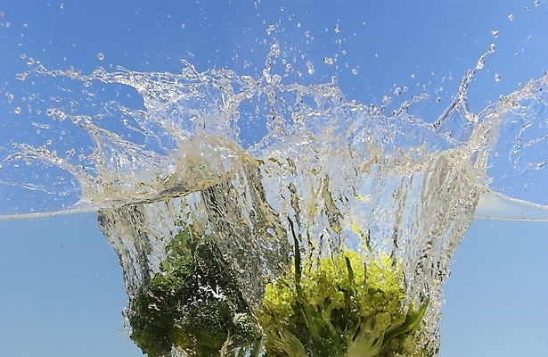 포토 JPG 스튜디오촬영 식물 웰빙 백그라운드 채소 식재료 사람없음 물 농작물 물방울 브로콜리 유기농 국내포토 자연요소 농업 실내 파일형식