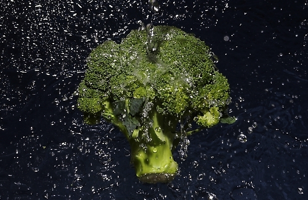 포토 JPG 스튜디오촬영 식물 웰빙 백그라운드 채소 식재료 근접촬영 사람없음 물 농작물 물방울 브로콜리 유기농 국내포토 자연요소 뷰포인트 농업 실내 파일형식