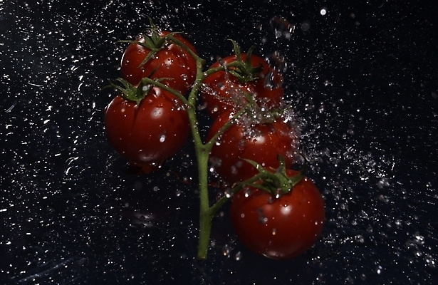 포토 JPG 스튜디오촬영 식물 웰빙 백그라운드 채소 식재료 방울토마토 근접촬영 사람없음 물 농작물 물방울 유기농 미니토마토 국내포토 자연요소 뷰포인트 농업 토마토 실내 파일형식