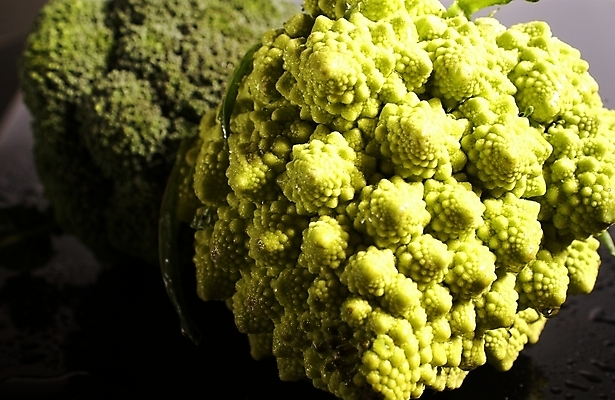 포토 JPG 스튜디오촬영 식물 웰빙 음식 백그라운드 채소 식재료 근접촬영 사람없음 농작물 브로콜리 유기농 국내포토 뷰포인트 농업 실내 파일형식