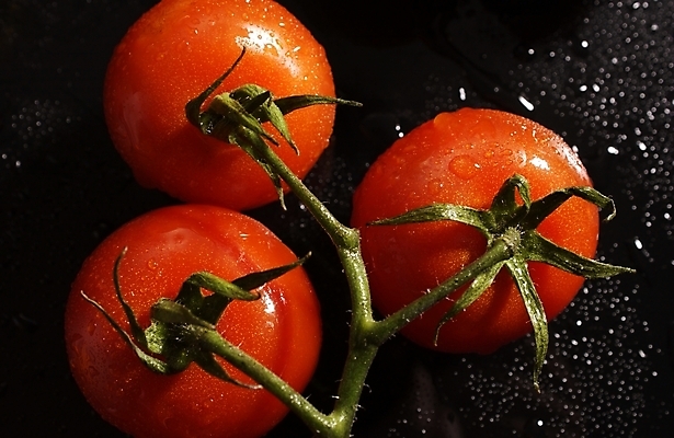 포토 JPG 스튜디오촬영 식물 웰빙 음식 백그라운드 채소 식재료 방울토마토 근접촬영 사람없음 농작물 물방울 유기농 미니토마토 국내포토 뷰포인트 농업 토마토 실내 파일형식