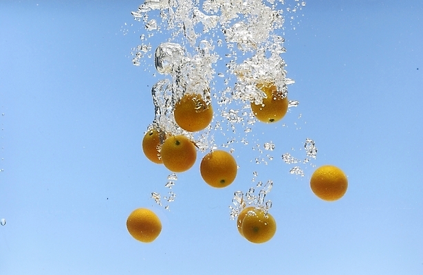 포토 JPG 스튜디오촬영 식물 웰빙 백그라운드 과일 귤 사람없음 물 물방울 금귤 국내포토 자연요소 실내 파일형식