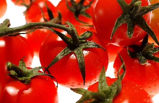 포토 JPG 스튜디오촬영 식물 웰빙 음식 백그라운드 채소 식재료 방울토마토 근접촬영 사람없음 농작물 유기농 미니토마토 국내포토 뷰포인트 농업 토마토 실내 파일형식