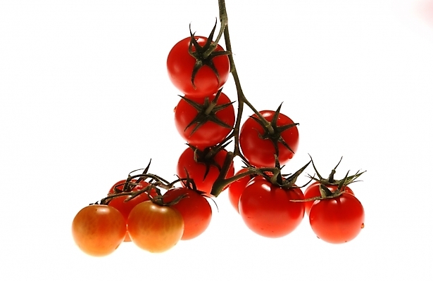 포토 JPG 스튜디오촬영 식물 웰빙 음식 백그라운드 채소 식재료 방울토마토 근접촬영 사람없음 농작물 유기농 미니토마토 국내포토 뷰포인트 농업 토마토 실내 파일형식