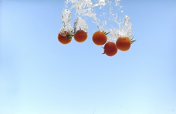 포토 JPG 스튜디오촬영 식물 웰빙 음식 백그라운드 채소 식재료 방울토마토 사람없음 물 농작물 물방울 유기농 미니토마토 국내포토 자연요소 농업 토마토 실내 파일형식