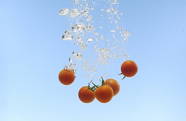 포토 JPG 스튜디오촬영 식물 웰빙 음식 백그라운드 채소 식재료 방울토마토 사람없음 물 농작물 물방울 유기농 미니토마토 국내포토 자연요소 농업 토마토 실내 파일형식