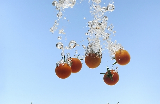 포토 JPG 스튜디오촬영 식물 웰빙 음식 백그라운드 채소 식재료 방울토마토 사람없음 물 농작물 물방울 유기농 미니토마토 국내포토 자연요소 농업 토마토 실내 파일형식